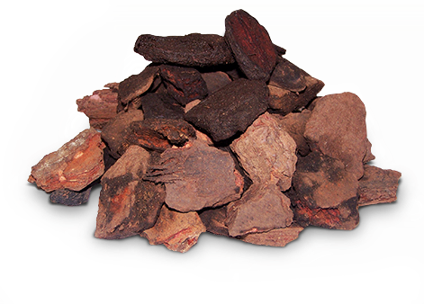BARK